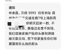 平湖遇到恶意拖欠？专业追讨公司帮您解决烦恼